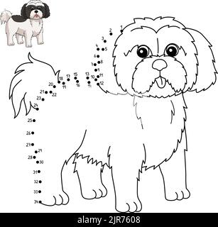 Dot to Dot Shih Tzu Coloring Page for Kids Stock Vector