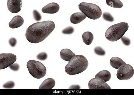 Falling avocado, isolated on white background, selective focus Stock Photo