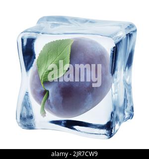 plum in ice cube, isolated on white background, clipping path, full depth of field Stock Photo