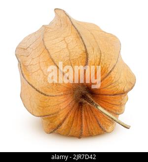 Cape gooseberry, physalis isolated on white background, clipping path, full depth of field Stock Photo