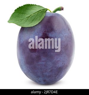 plum isolated on white background, clipping path, full depth of field Stock Photo
