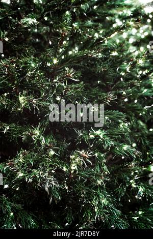 Seamless texture of fir tree branches decorated with beautiful Christmas lights as background. Great backdrop for holiday concept design. Copy space. Stock Photo