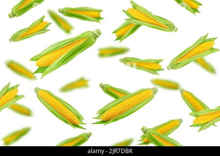 Falling corn ear, isolated on white background, selective focus Stock Photo