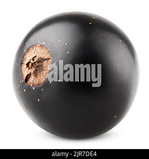 Black currant isolated on white background, clipping path, full depth of field Stock Photo
