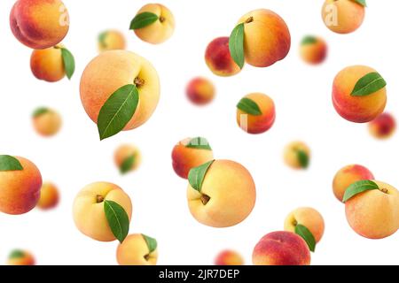 Falling Peach isolated on white background, selective focus Stock Photo