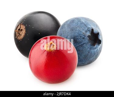 berries, cranberry, blueberry, black currant, isolated on white background, clipping path, full depth of field Stock Photo