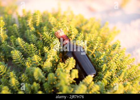 Essential oil bottle on green plant. Little brown medicine bottle in nature background. Organic CBD hemp oil. Stock Photo