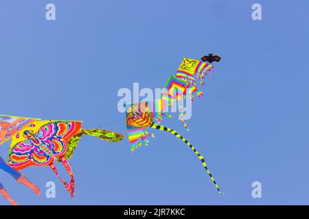 Kites on the beachin summer. Rimini, Italy. High quality photo Stock Photo