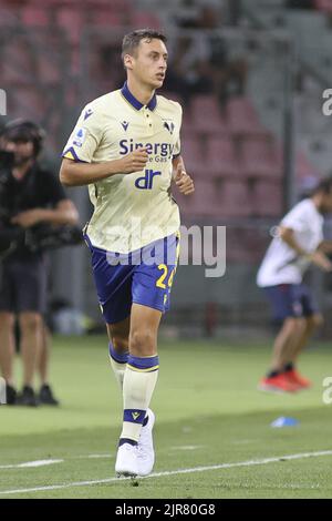 Filippo Terracciano of Hellas Verona FC gestures during Hellas Verona