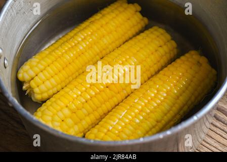ripe corn cobs sweetcorn for food, steamed or boiled sweet corn cooked in hot pot Stock Photo