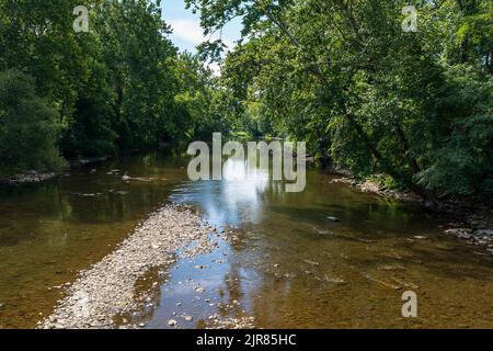 Trees hanging over Brokenstraw Creek on a sunny summer day in Brokenstraw Township, Pennsylvania, USA Stock Photo