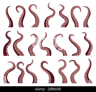 angry squid with long tentacles icon vector outline illustration Stock  Vector Image & Art - Alamy