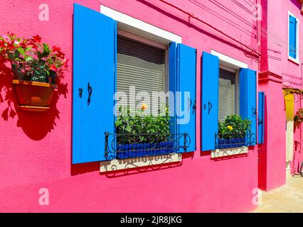 Flower pots decorate on the walls and blue windows of the pink house. Colorful architecture in Burano Island, Venice, Italy Stock Photo