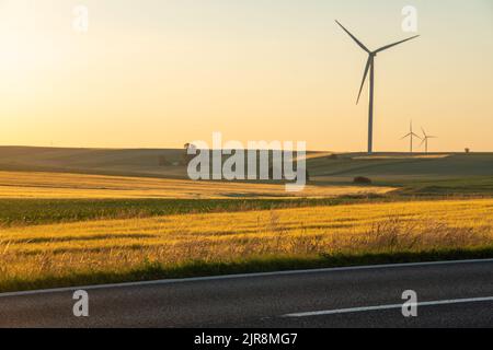 Asphalt road running through rural landscape-green fields and windmills Stock Photo