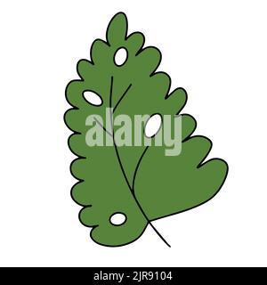 Fresh natural green leaf colored with stroke. Vector illustration Stock Vector