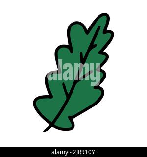 Fresh natural green leaf colored with stroke. Vector illustration Stock Vector