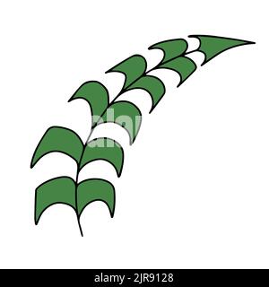 Fresh natural green leaf colored with stroke. Vector illustration Stock Vector
