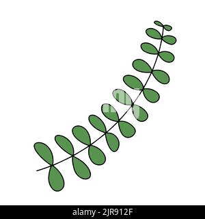 Fresh natural green leaf colored with stroke. Vector illustration Stock Vector