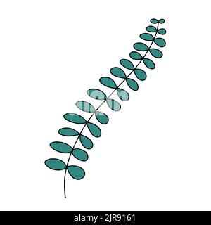 Fresh natural green leaf colored with stroke. Vector illustration Stock Vector