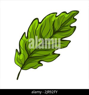 Green summer leaf isolated detailed vector illustration Stock Vector