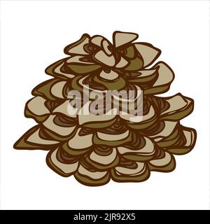 Forest pine cone. Vector illustration in hand drawn style Stock Vector