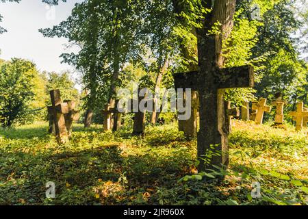 Abandoned 1800s greveyard. Rustic old stone cross statues covered in moss standing in tall grass in front of huge tree. Sunlit forest. Horizontal shot. High quality photo Stock Photo