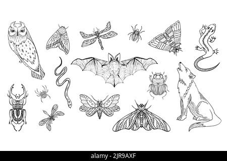 Set of mystical forest animals. Sacred symbols of magical beasts Stock Vector