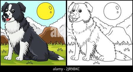 Border Collie Dog Coloring Page Illustration Stock Vector