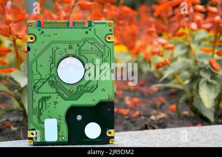 Internal hard drive for storing information and red flowers Stock Photo