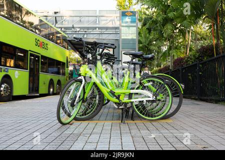 Singapore - July 19, 2022: Anywheel, bike sharing service,'s bicycles were parked in a bicycle parking area. Stock Photo