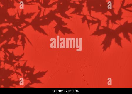 Shadow of leaves on red concrete wall texture background Stock Photo