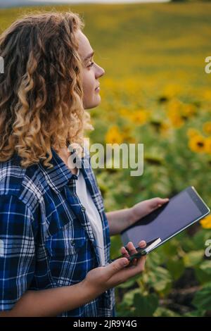 Agronomist woman inspect potential yield, using smart technology gadget for agriculture in sunflower fields. Smart farming digital agriculture, modern Stock Photo