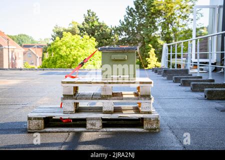 bee hive on roof Stock Photo
