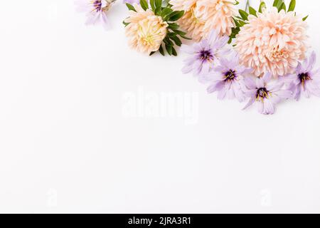 Autumn frame of dusty aster and dry blue flowers, floral composition isolated on white background. Top view with copy space Stock Photo