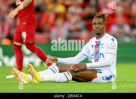 15 Aug 2022 - Liverpool v Crystal Palace - Premier League - Anfield  Crystal Palace's Wilfried Zaha during the Premier League match at Anfield. Picture : Mark Pain / Alamy Live News Stock Photo