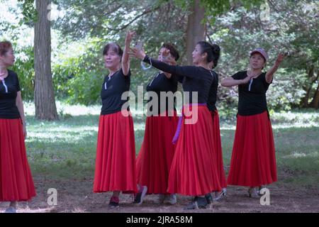 Middle age Chinese American dancers rehearse with their teacher's help in a park in Queens, New York City. Stock Photo