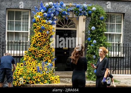 London, UK. 23rd Aug, 2022. Florists prepare a floral decoration around the door of 10 Downing Street ahead of Ukraine independence day tomorrow. Credit: Ian Davidson/Alamy Live News Stock Photo
