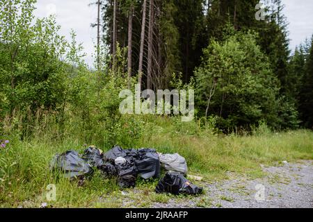 Illegal dumping of waste in forest, trashes in black plastic bags. Stock Photo