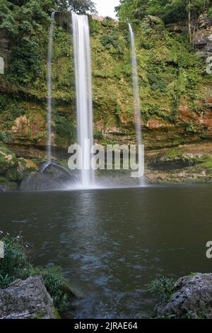 Epic beautiful waterfalls photos in the Jungle Stock Photo