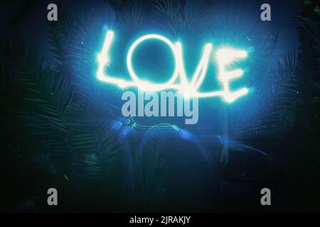 Long exposure of female drawing love message with a bright light source before palm tree leaves at night. Stock Photo