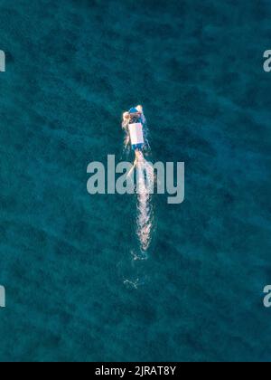 Aerial view of motorboat in sea Stock Photo - Alamy