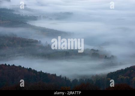 Forested valley shrouded in thick autumn fog Stock Photo