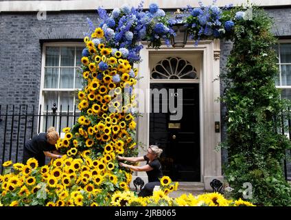 London, UK. 23rd Aug, 2022. The finishing touches are put on the floral display at Number 10 Downing Street to mark independence day for Ukraine which is tomorrow, August 24th. Credit: Mark Thomas/Alamy Live News Stock Photo