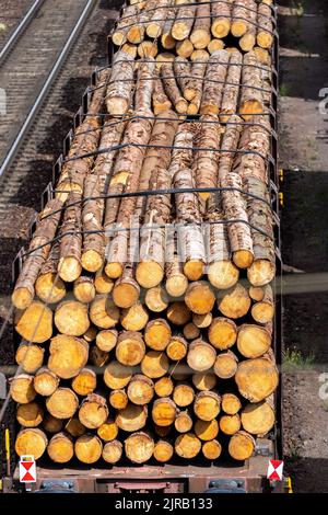 Close-up view railway sorting station with many transportation rail carriage. Railroad car wooden timber log and gas tanks logistics. Raw wood heating Stock Photo