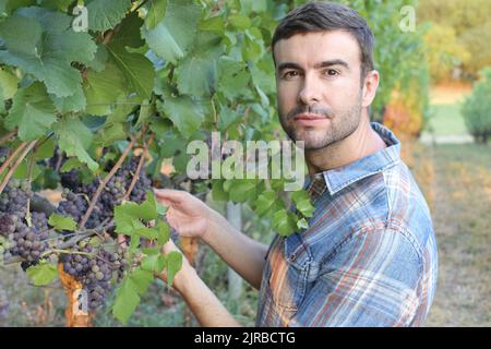 Handsome farmer in beautiful vineyard Stock Photo