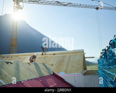 Coworkers installing wooden roof on sunny day Stock Photo