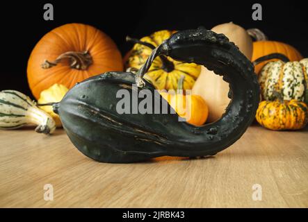 Variety of edible and decorative gourds and pumpkins. Autumn composition of different squash types on wooden table. Stock Photo