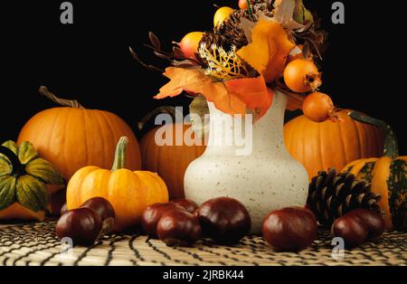 Handmade ceramic flower vase with decorative pumpkins, chestnuts and cones. Beautiful autumn or fall composition for Thanksgiving dinner or Halloween. Stock Photo