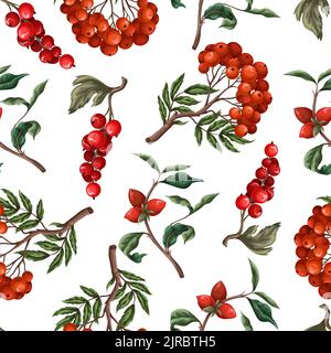 Seamless pattern with berries, such as rowan, blueberries and other. Vector. Stock Vector