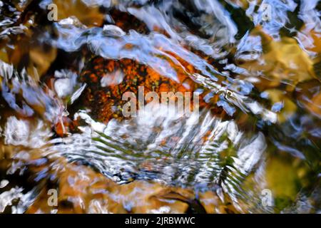 Colored rocks, waters flow and sun reflections in a creek in close-up Stock Photo